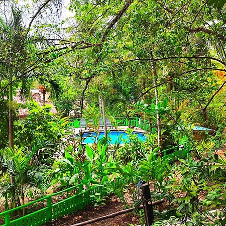 Maya Mountain Lodge Сан-Игнасио Экстерьер фото