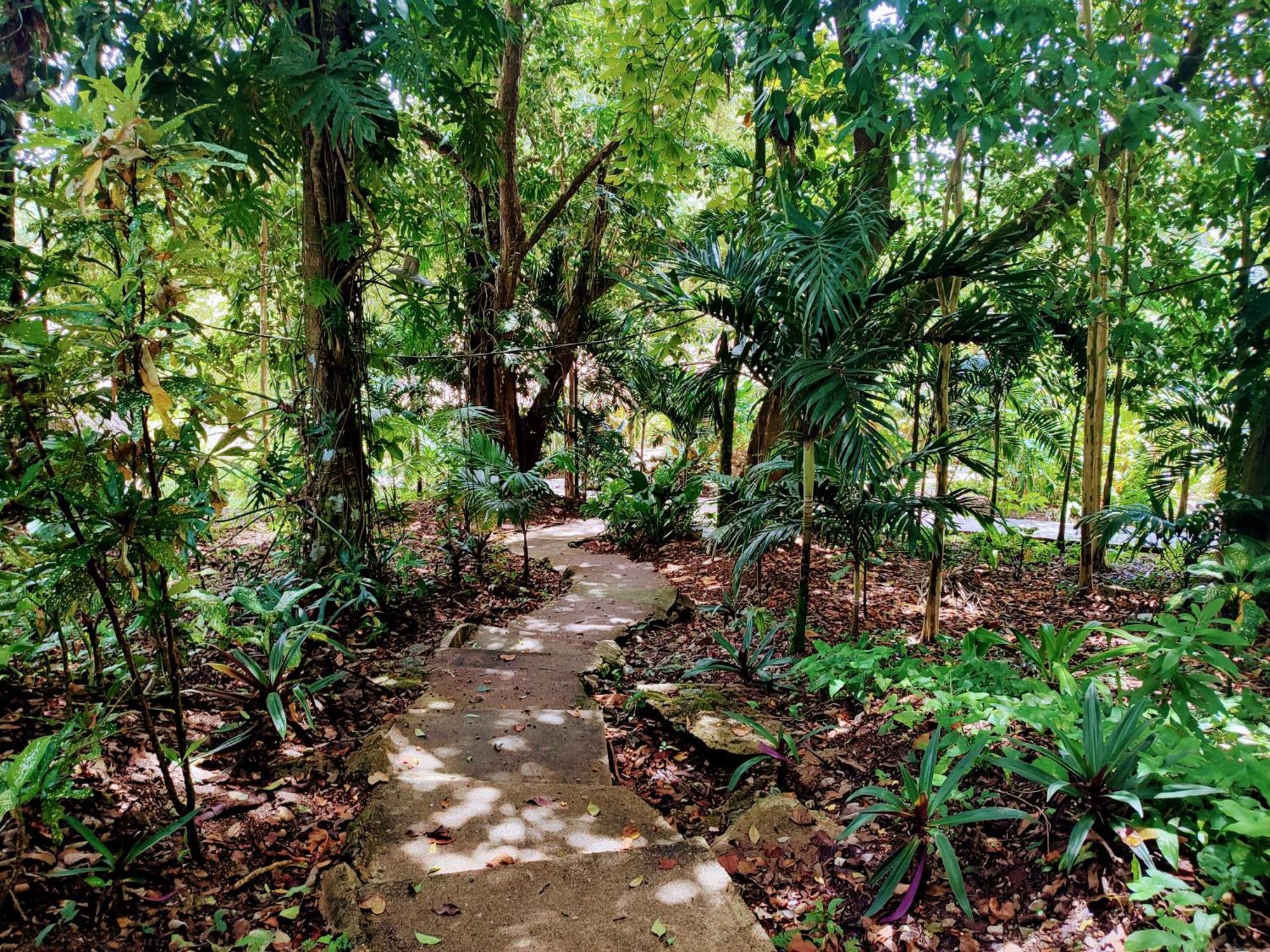 Maya Mountain Lodge Сан-Игнасио Экстерьер фото