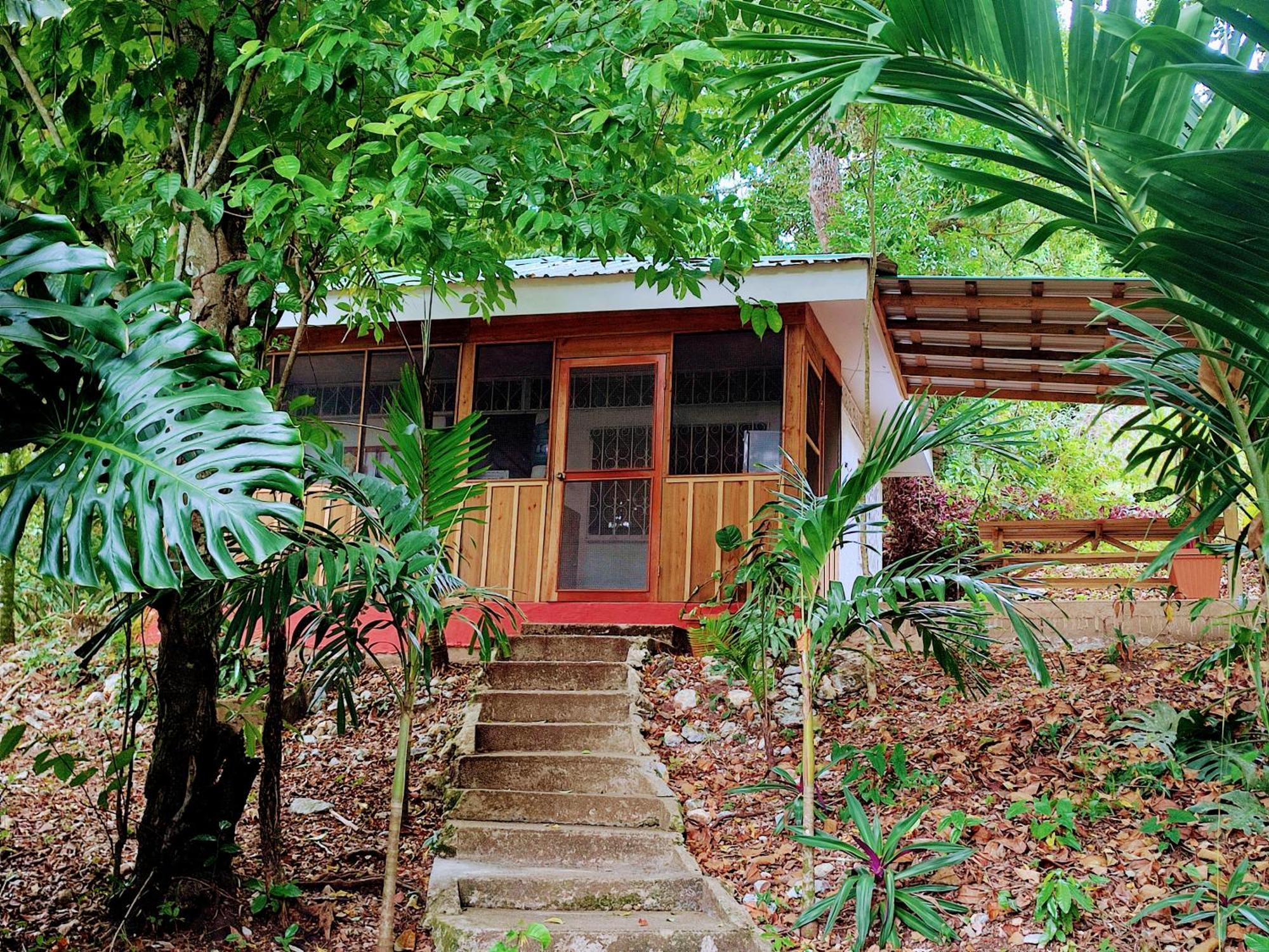 Maya Mountain Lodge Сан-Игнасио Экстерьер фото