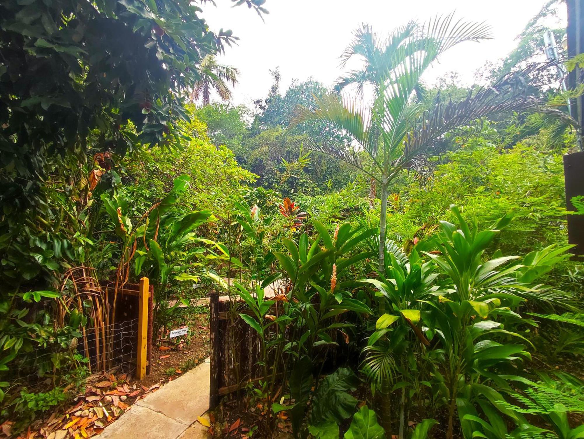 Maya Mountain Lodge Сан-Игнасио Экстерьер фото
