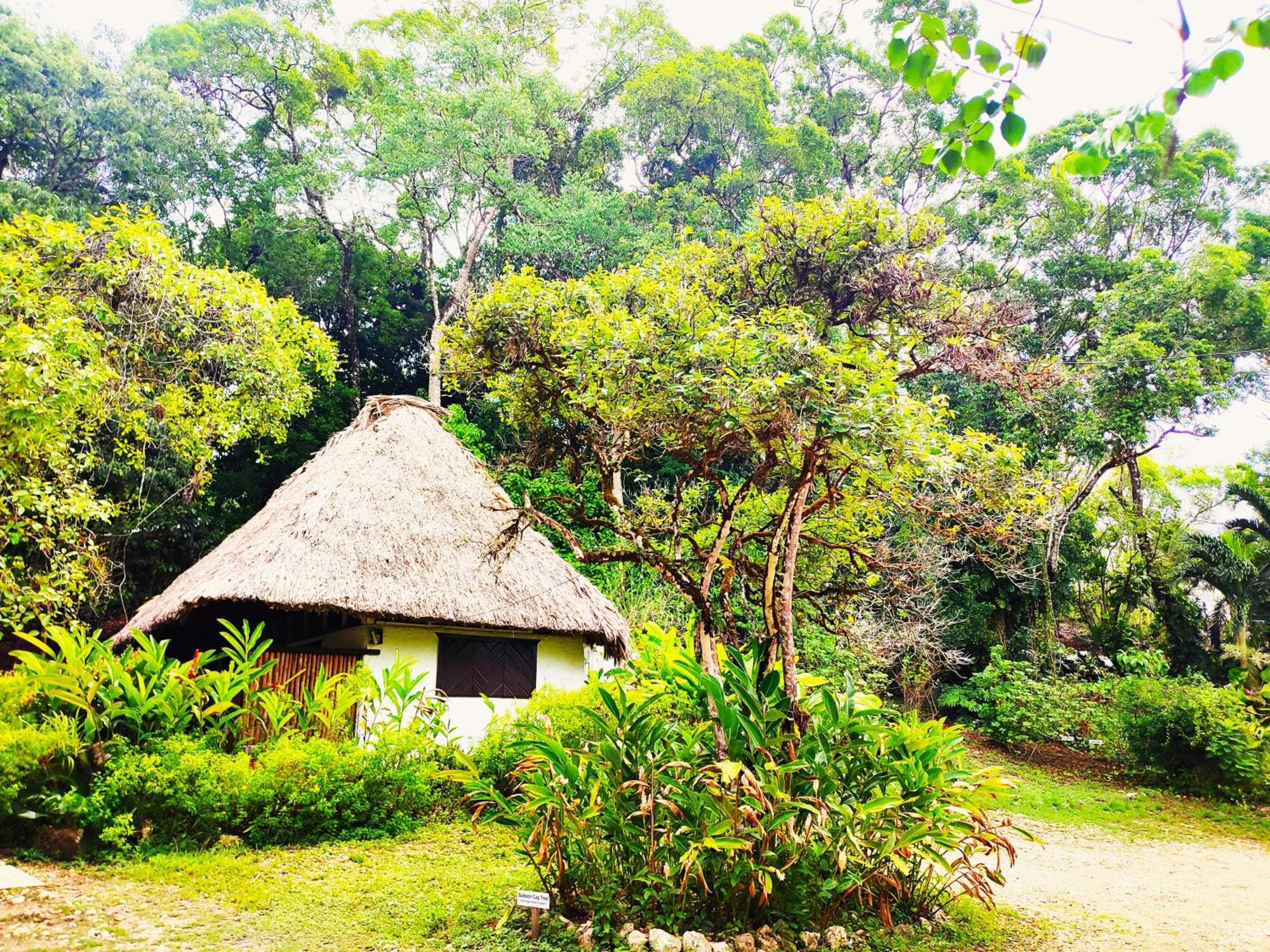 Maya Mountain Lodge Сан-Игнасио Экстерьер фото