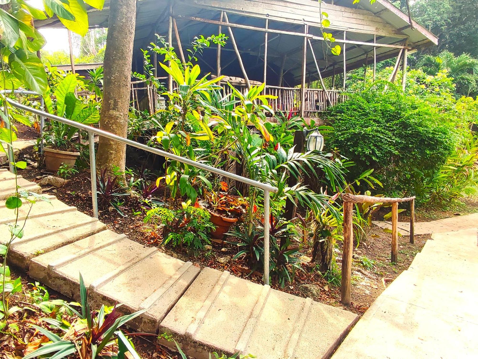 Maya Mountain Lodge Сан-Игнасио Экстерьер фото
