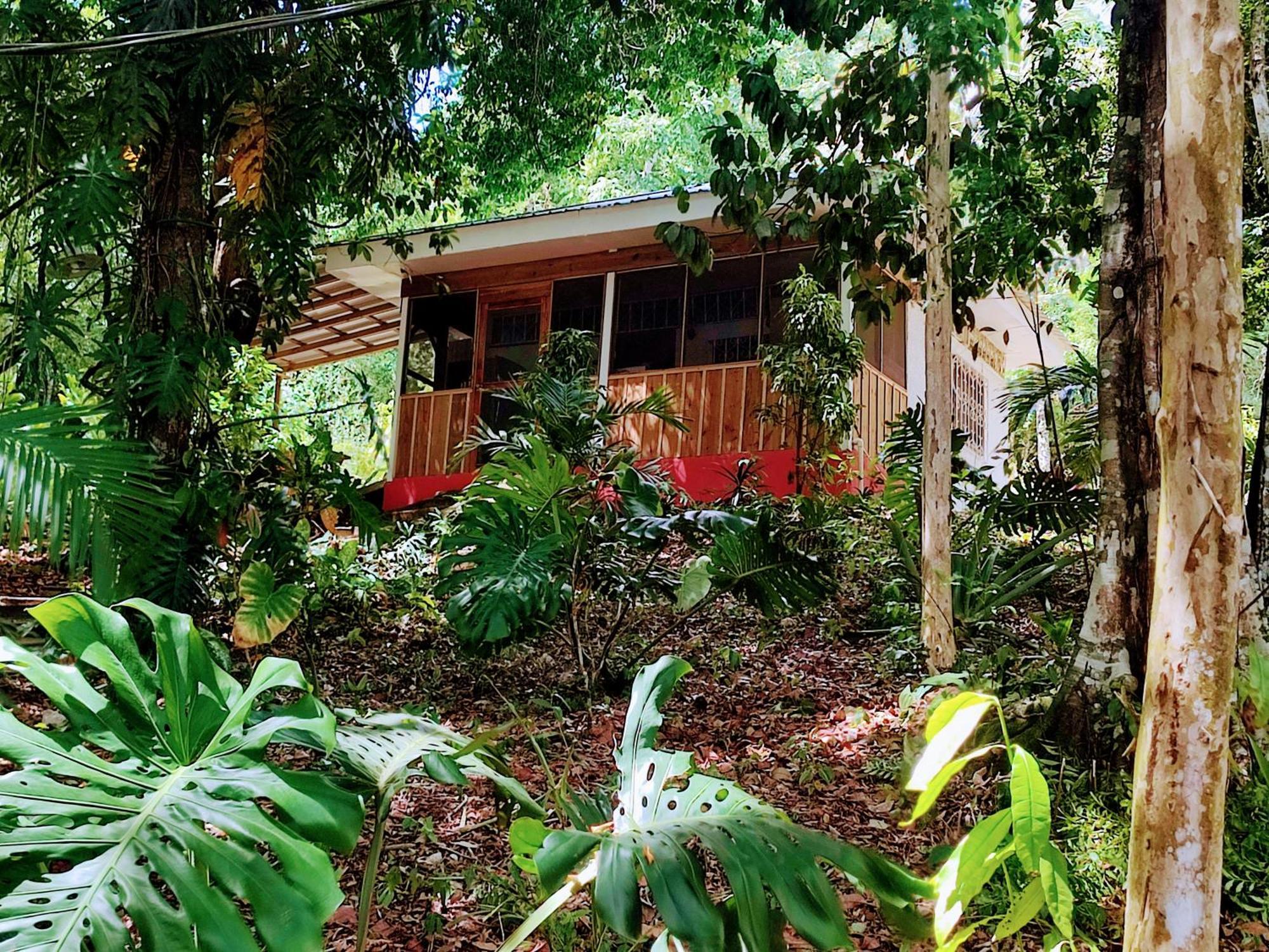 Maya Mountain Lodge Сан-Игнасио Экстерьер фото