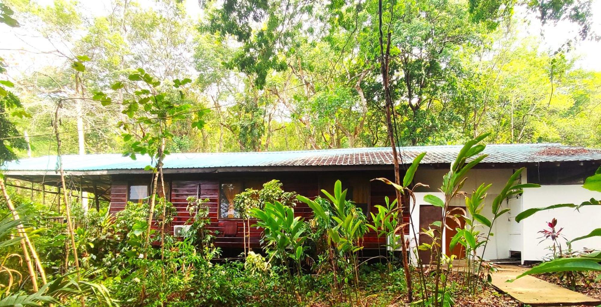 Maya Mountain Lodge Сан-Игнасио Экстерьер фото