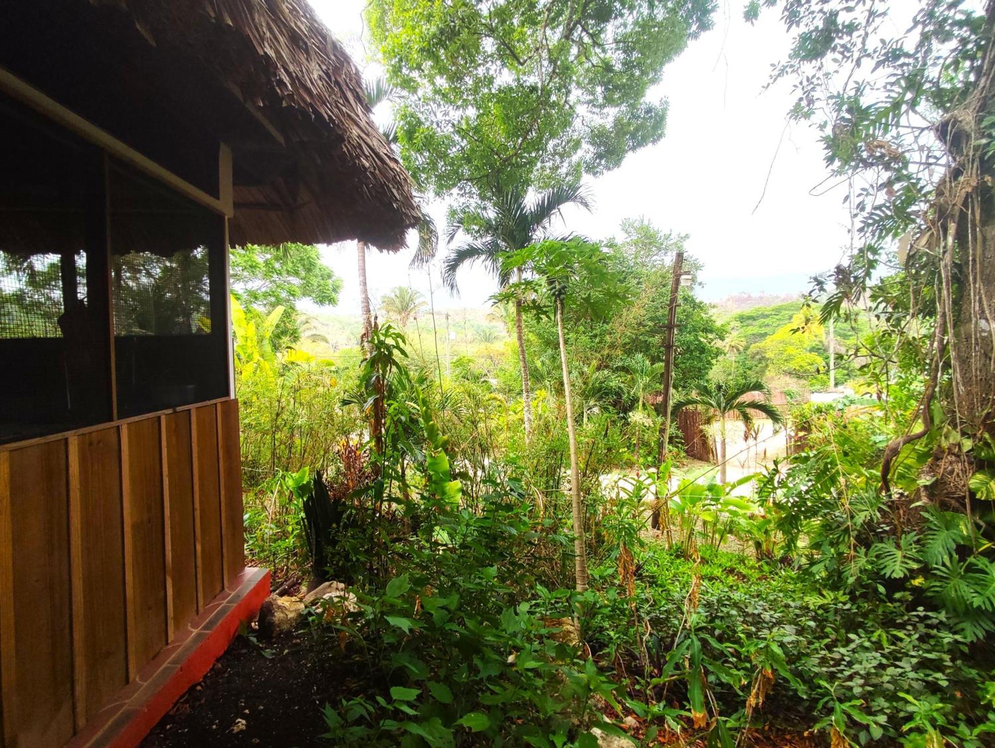 Maya Mountain Lodge Сан-Игнасио Экстерьер фото
