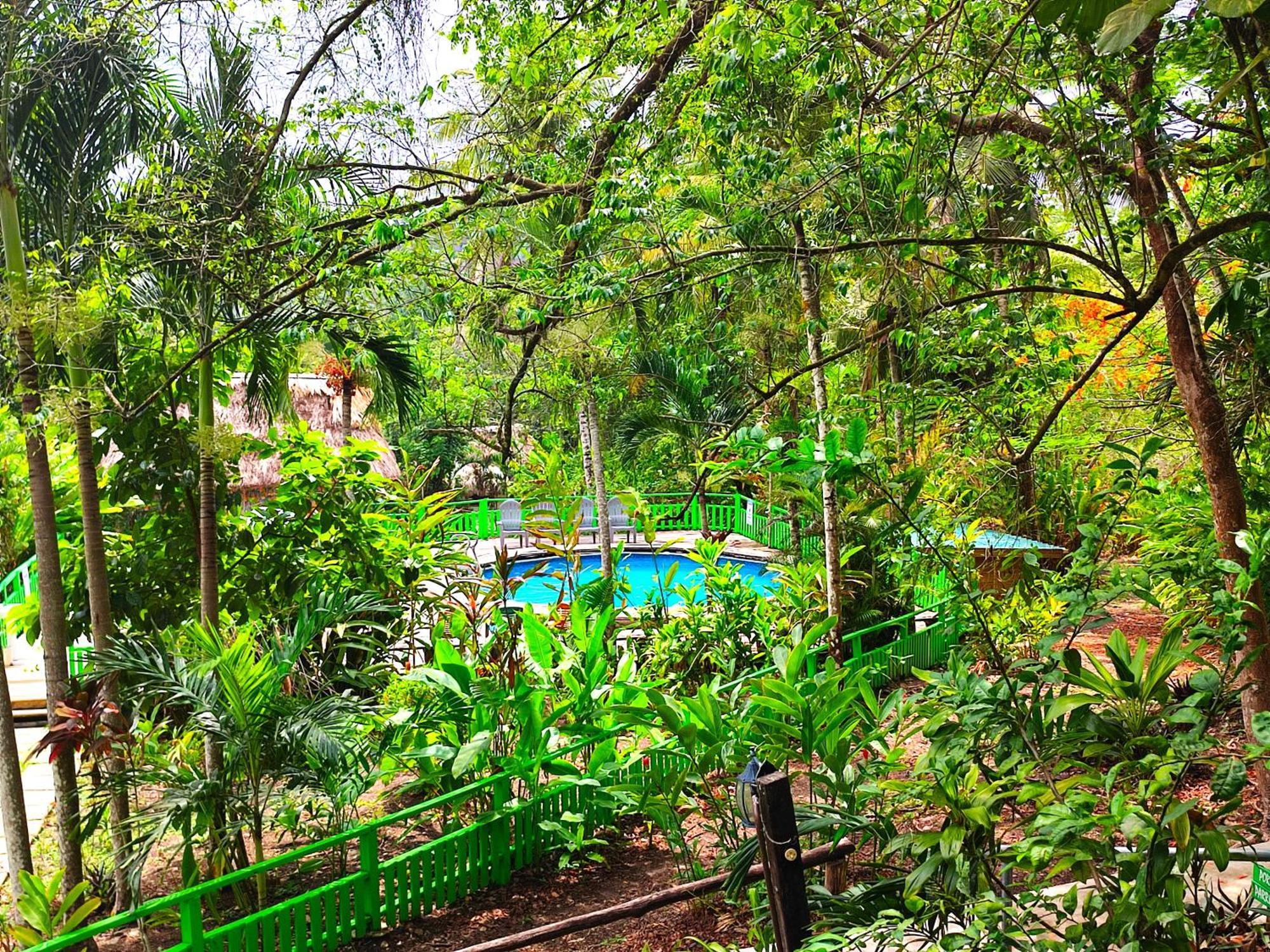 Maya Mountain Lodge Сан-Игнасио Экстерьер фото